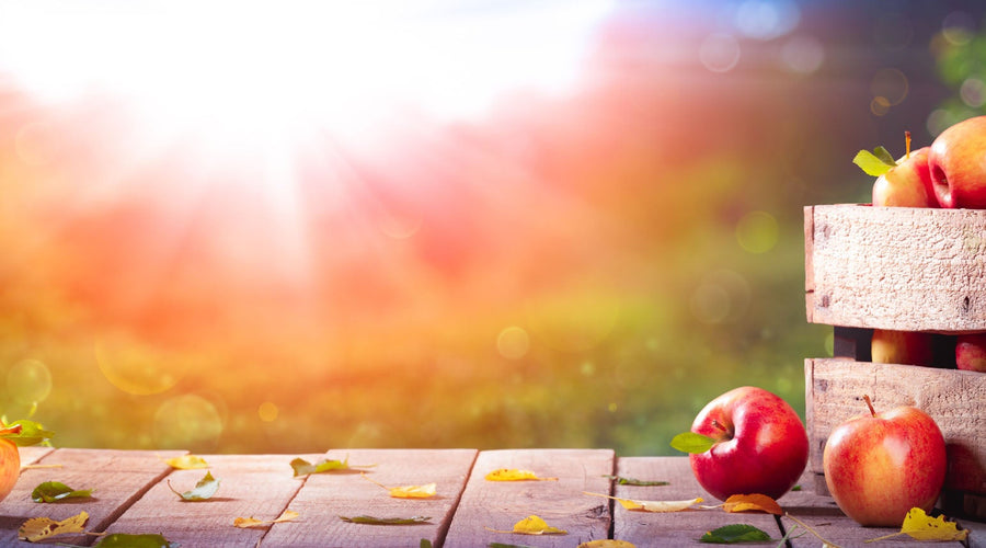 Obst Aufbewahrung - so lagerst du dein Obst richtig